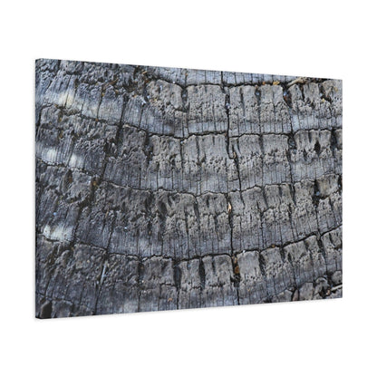 Whispers of Age - Unique Frameless Canvas Wall Art - Art By Earth