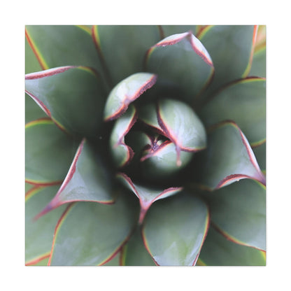 Emerald Spiral - Unique Frameless Canvas Wall Art - Art By Earth