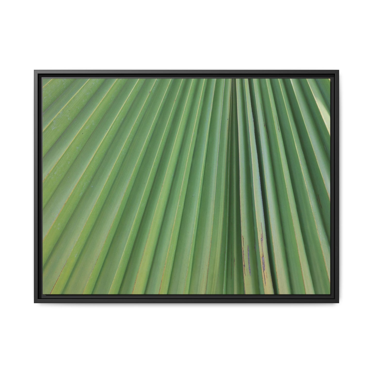 Emerald Rays - Unique Stretched Canvas Wall Art - Art By Earth