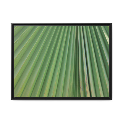 Emerald Rays - Unique Stretched Canvas Wall Art - Art By Earth