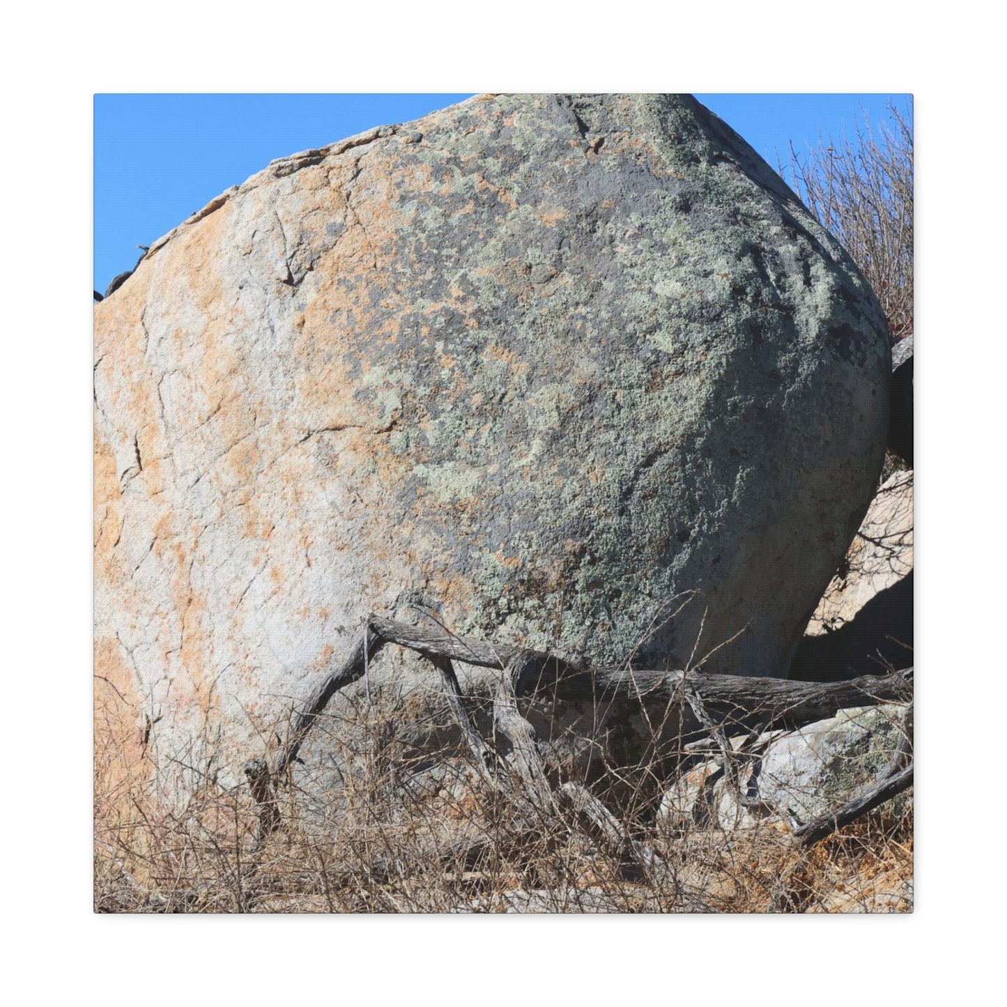 Boulder's Solitude - Unique Stretched Canvas Wall Art - Art By Earth