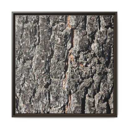 Aged Beauty - Unique Stretched Canvas Wall Art - Art By Earth