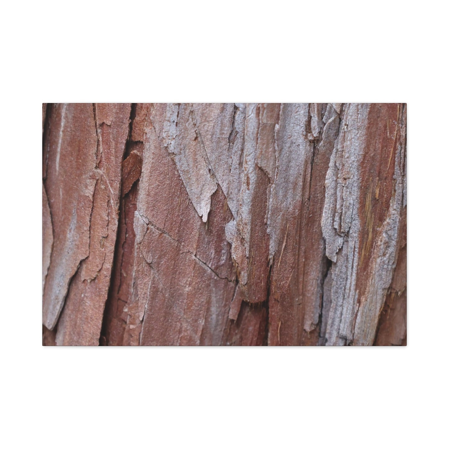 Peeling Paint - Unique Frameless Canvas Wall Art - Art By Earth