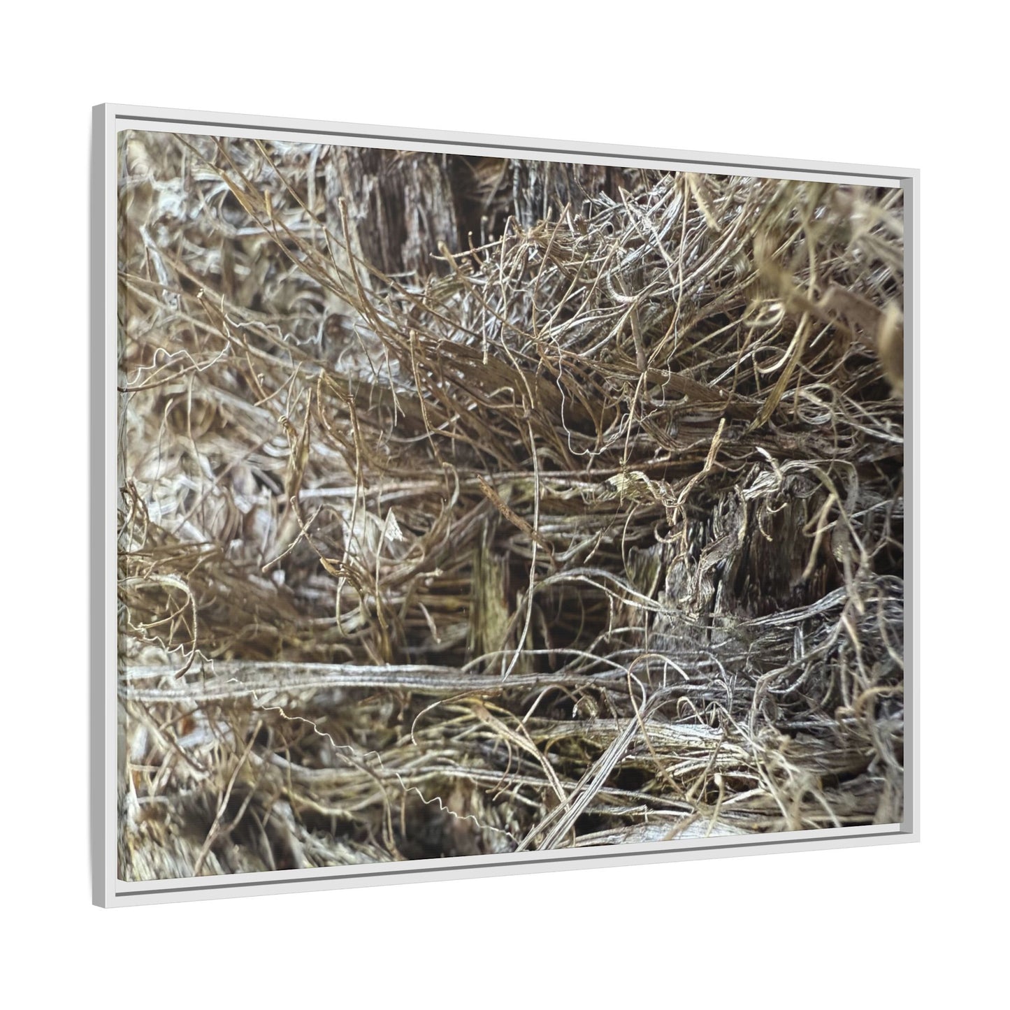 Tangled Whispers of Autumn - Unique Stretched Canvas Wall Art - Art By Earth