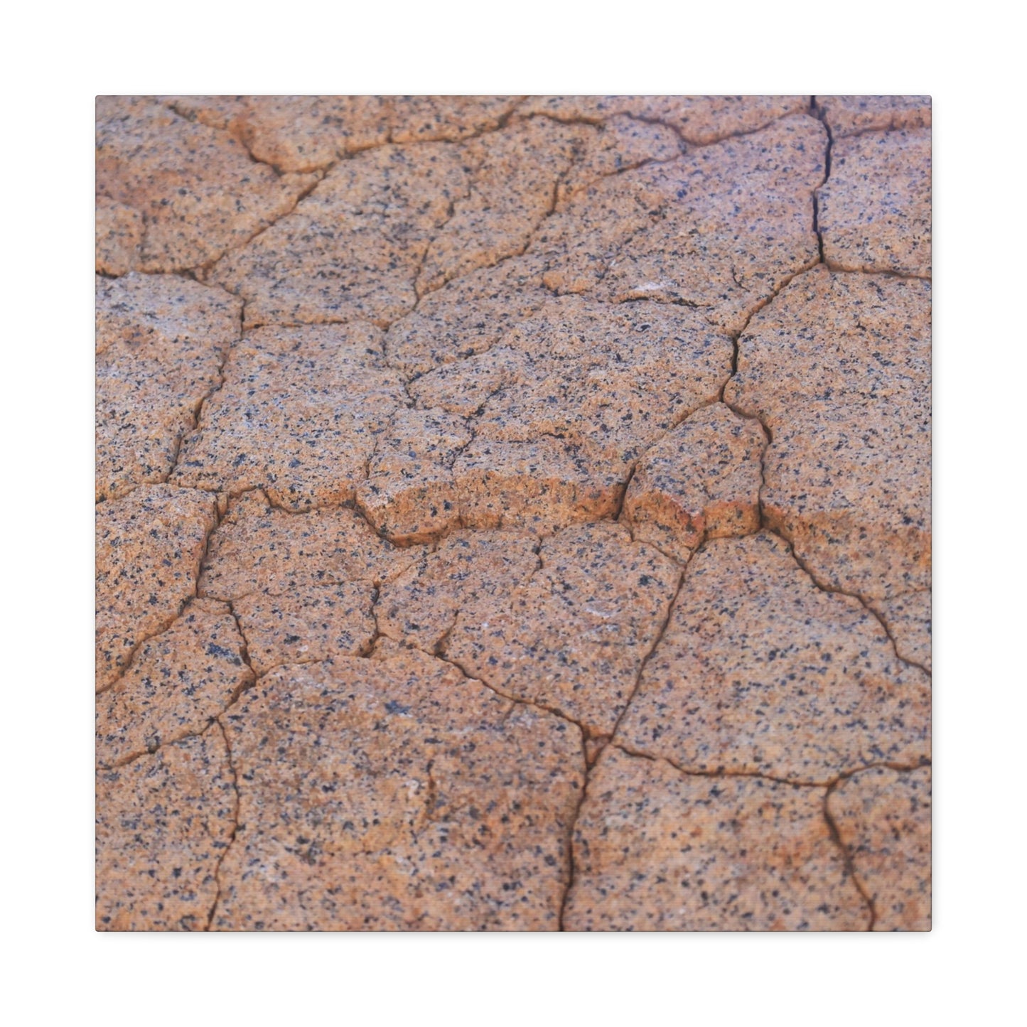 Cracked Earth's Whispers - Unique Frameless Canvas Wall Art - Art By Earth