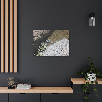 Between Stone and Sand - Unique Frameless Canvas Wall Art - Art By Earth