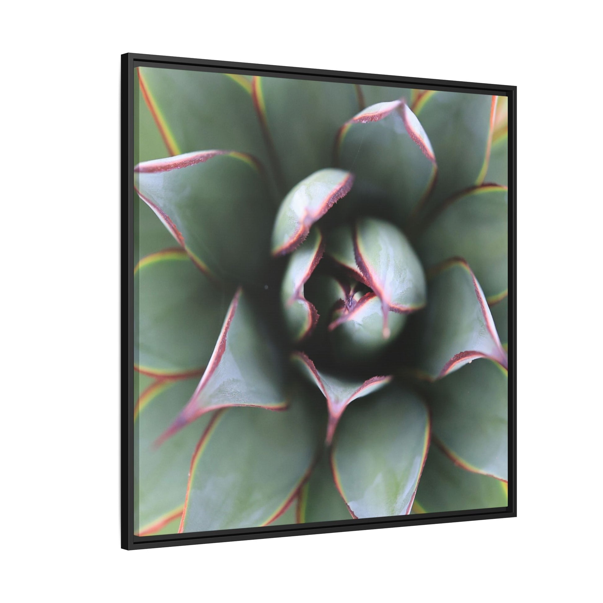 Spiky Elegance - Unique Stretched Canvas Wall Art - Art By Earth