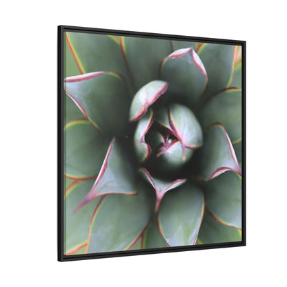 Spiky Elegance - Unique Stretched Canvas Wall Art - Art By Earth