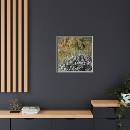 Arid Landscape with Yellow Flowers - Unique Stretched Canvas Wall Art - Art By Earth