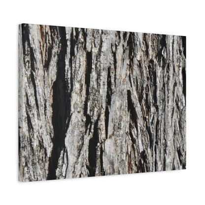 Bark Layers in Monochrome - Unique Frameless Canvas Wall Art - Art By Earth