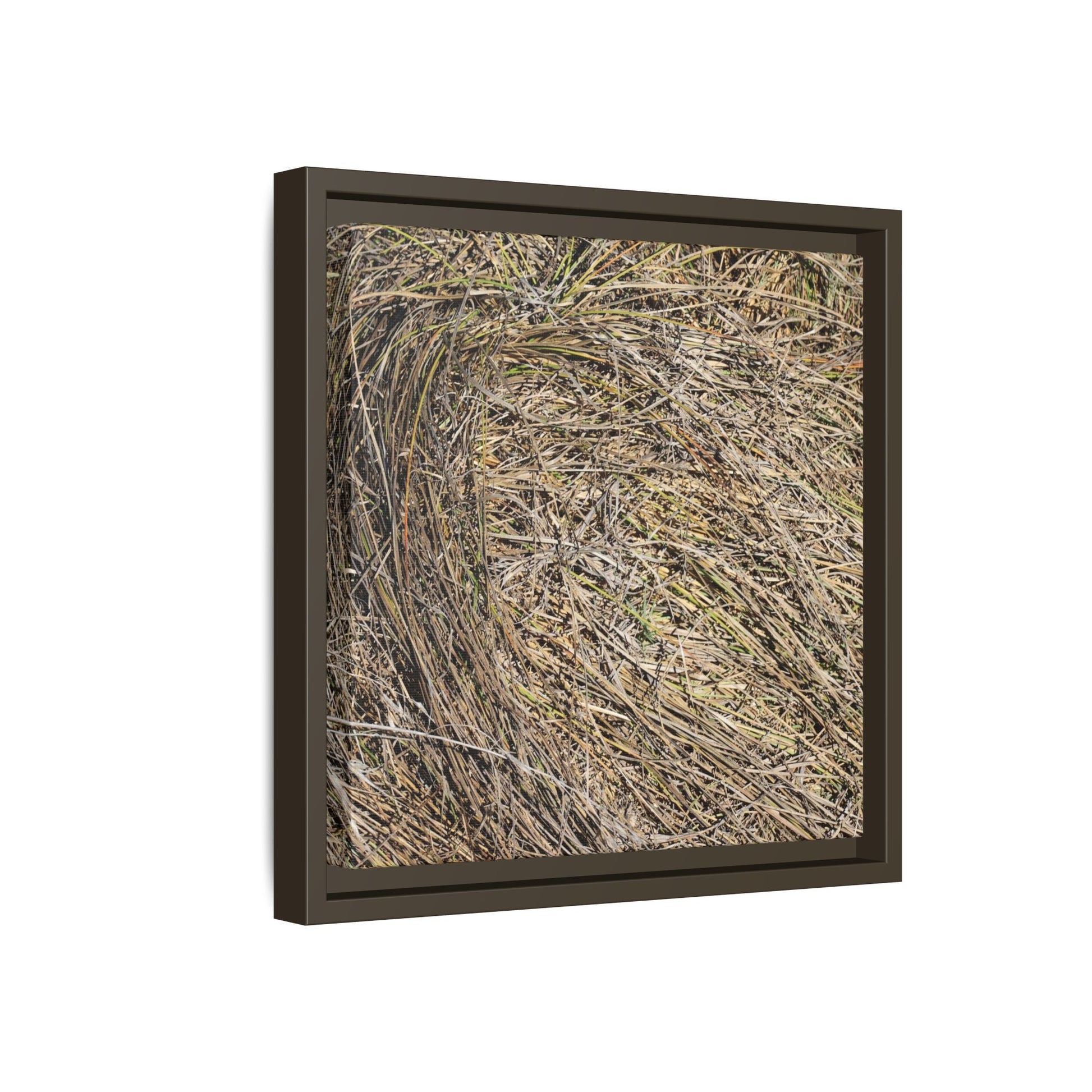 Tangled Grass Symphony - Unique Stretched Canvas Wall Art - Art By Earth