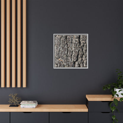 Bark Study in Gray - Unique Stretched Canvas Wall Art - Art By Earth