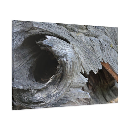 Twisted Whispers of the Forest Floor - Unique Frameless Canvas Wall Art - Art By Earth