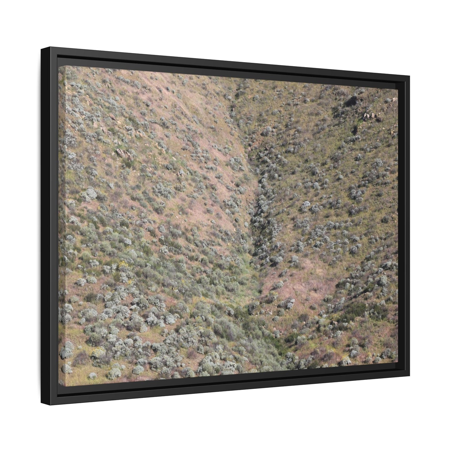 Mountain Slope with Desert Vegetation - Unique Stretched Canvas Wall Art - Art By Earth