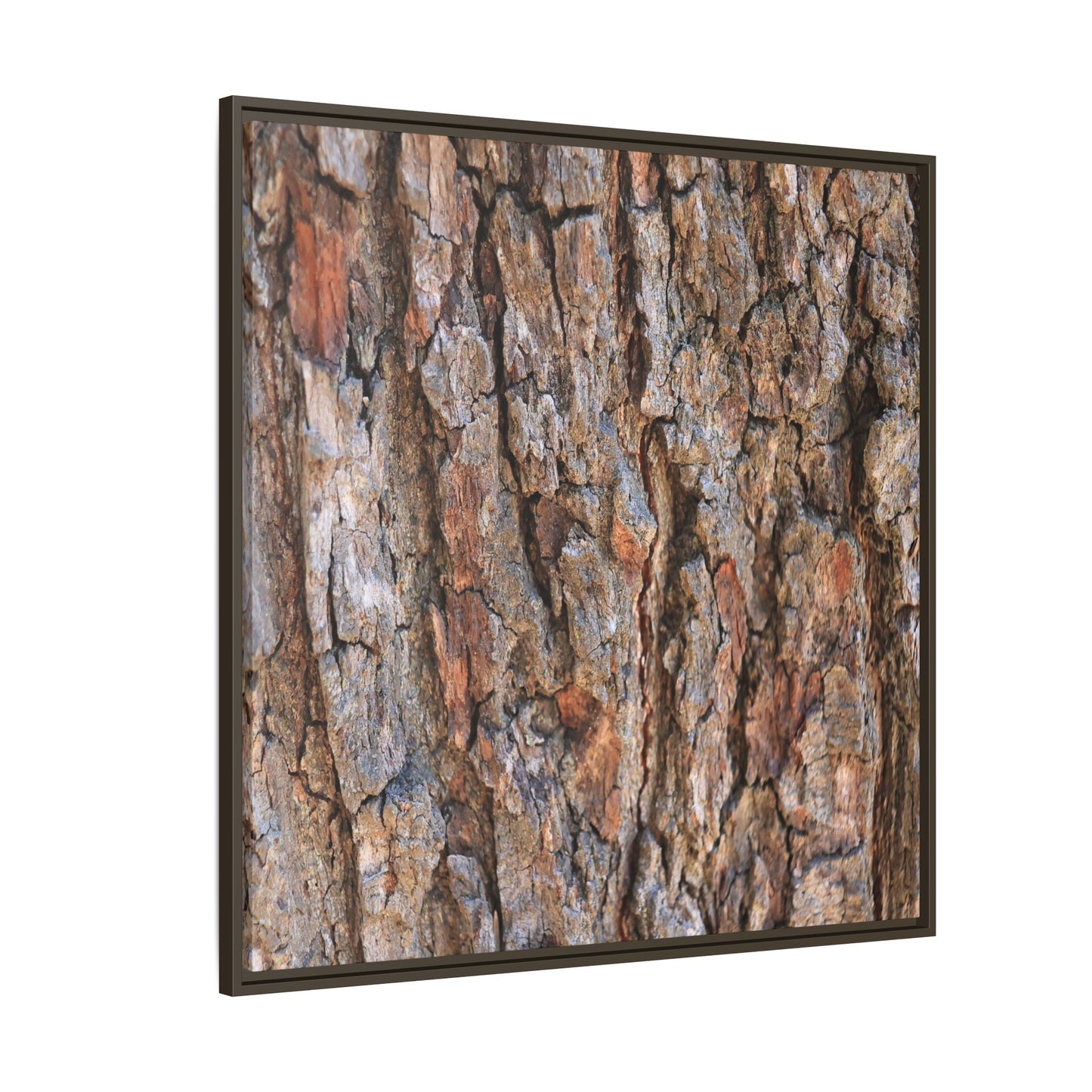 Tree's Timeworn Tale - Unique Stretched Canvas Wall Art - Art By Earth