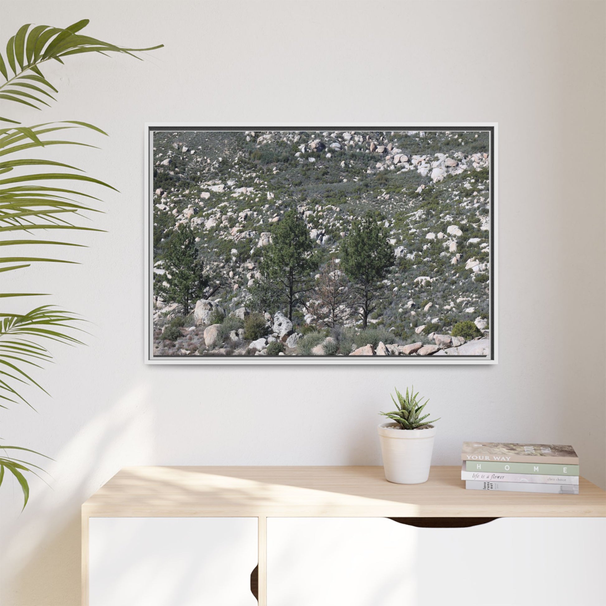 Rocky Hillside with Pine Trees - Unique Stretched Canvas Wall Art - Art By Earth