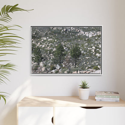 Rocky Hillside with Pine Trees - Unique Stretched Canvas Wall Art - Art By Earth