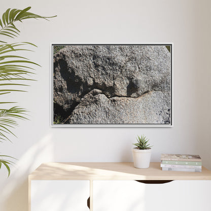Stone Skull in Desert - Unique Stretched Canvas Wall Art