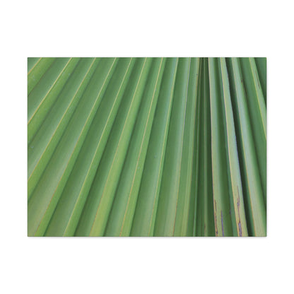 Palm Pulse - Unique Frameless Canvas Wall Art - Art By Earth