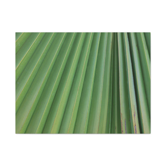 Palm Pulse - Unique Frameless Canvas Wall Art - Art By Earth