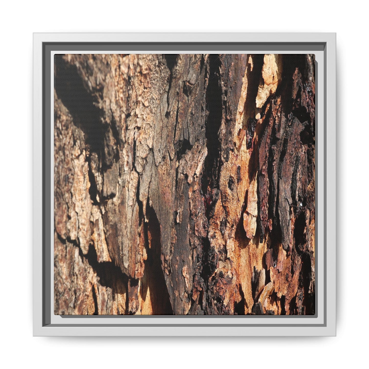 Rugged Beauty - Unique Stretched Canvas Wall Art - Art By Earth
