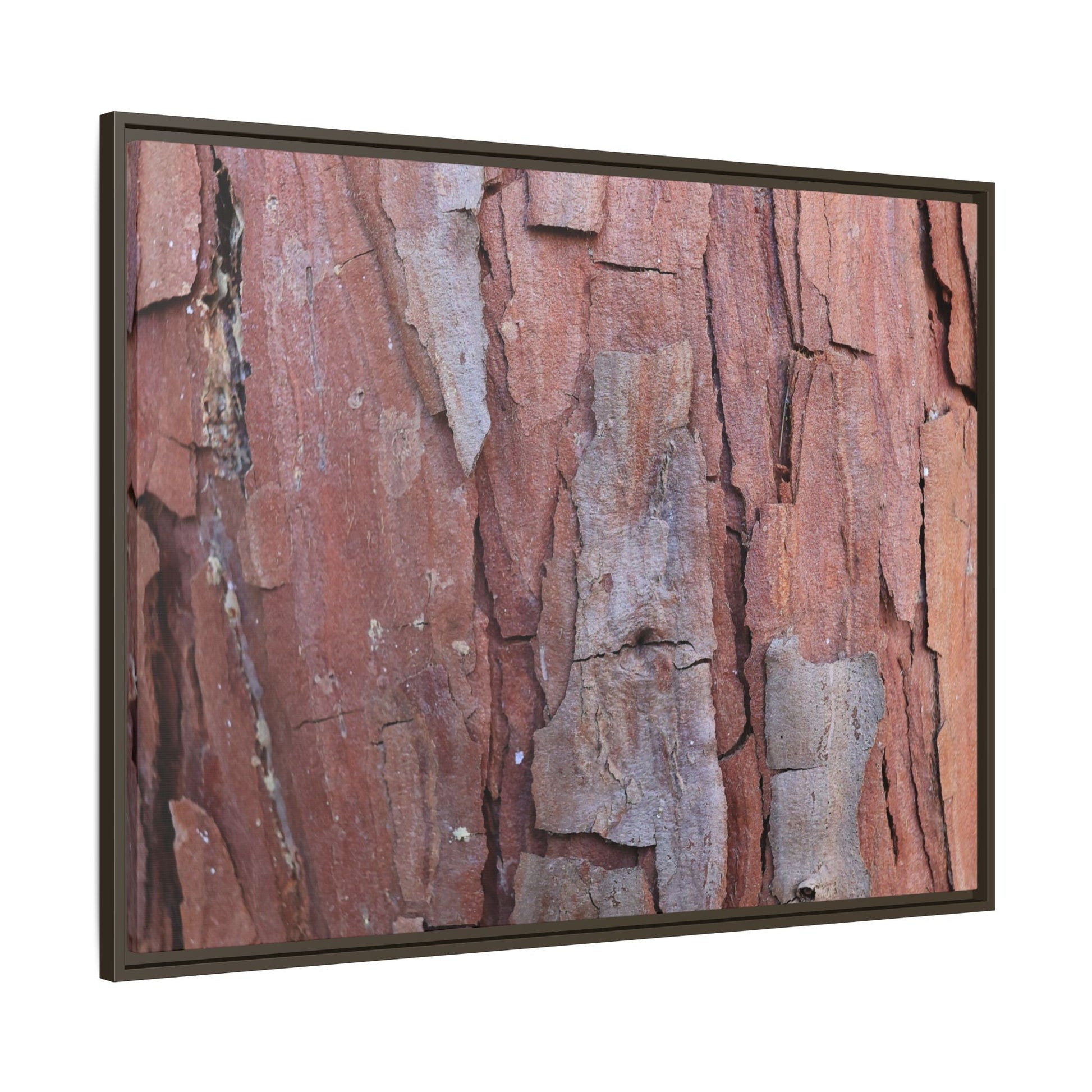Peeling Bark - Unique Stretched Canvas Wall Art - Art By Earth