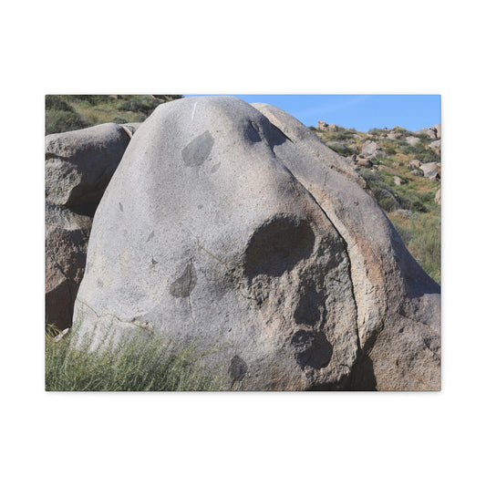 Skull Rock - Unique Frameless Canvas Wall Art - Art By Earth