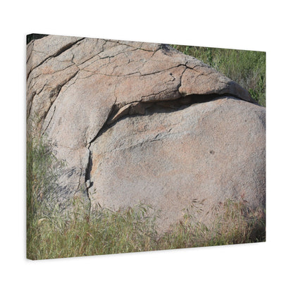 Granite Boulder in Desert Scrub - Unique Frameless Canvas Wall Art - Art By Earth