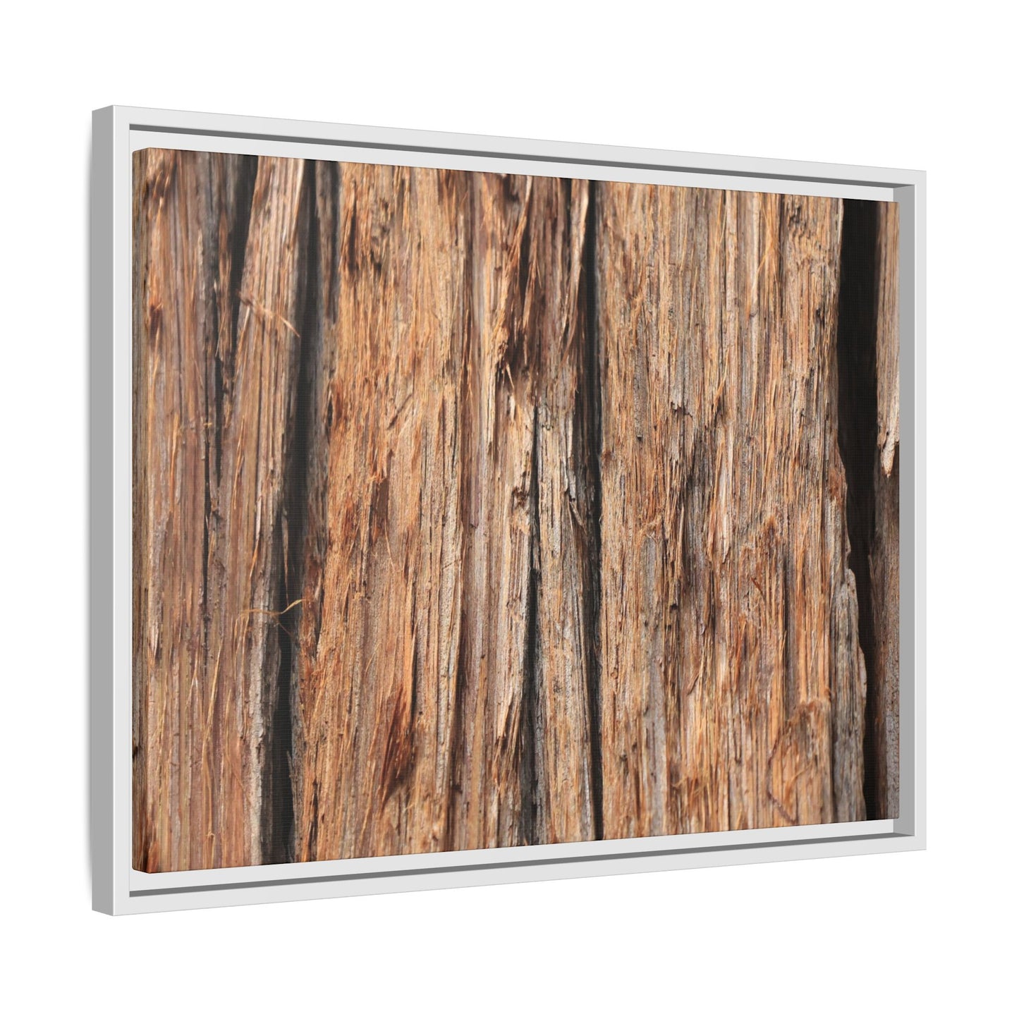 Timber Echoes - Unique Stretched Canvas Wall Art - Art By Earth