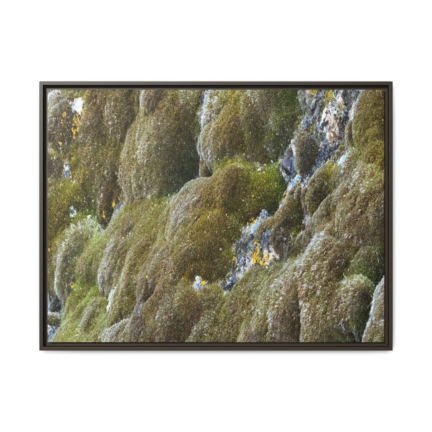Moss Symphony - Unique Stretched Canvas Wall Art