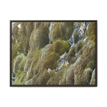 Moss Symphony - Unique Stretched Canvas Wall Art
