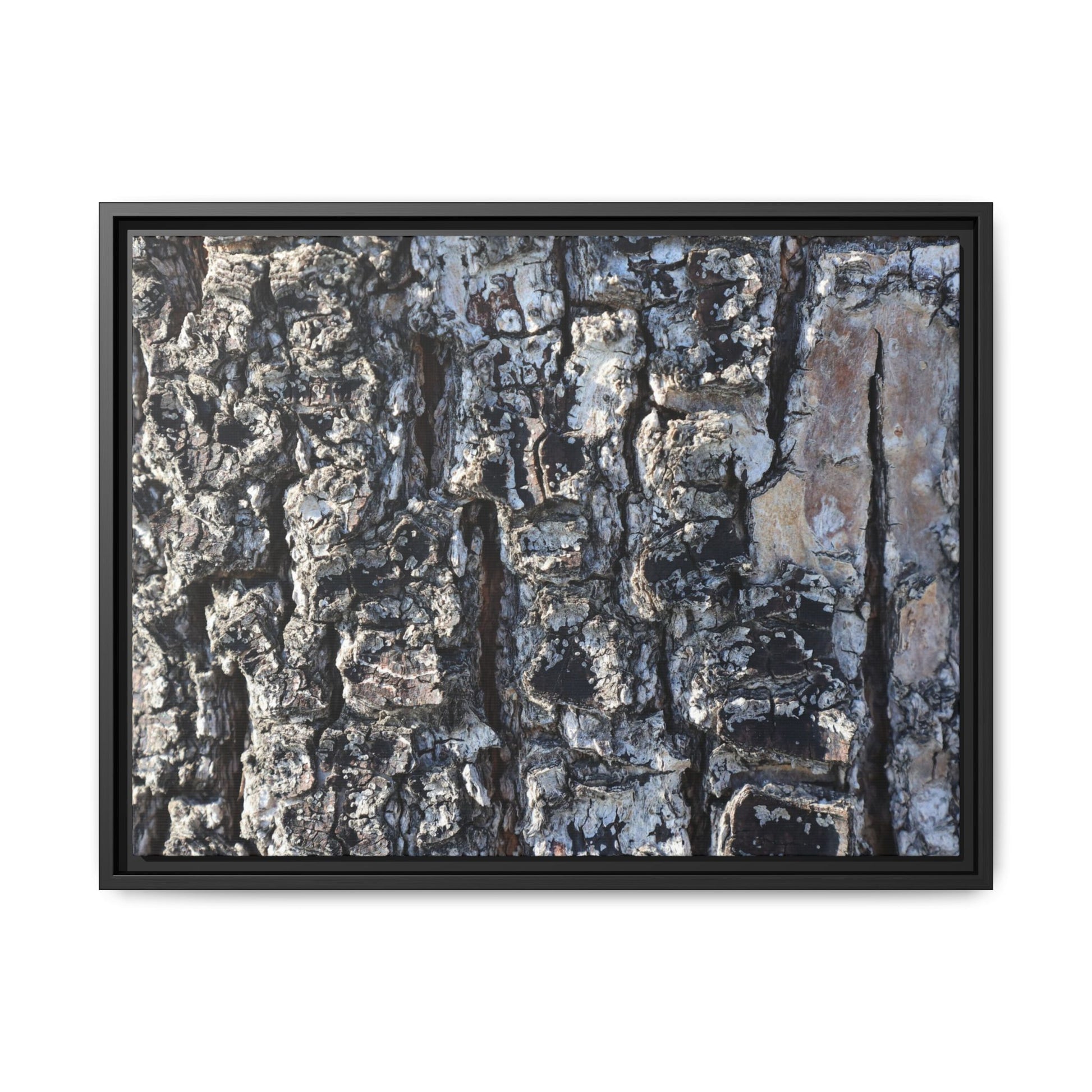 The Bark Chronicles - Unique Stretched Canvas Wall Art - Art By Earth