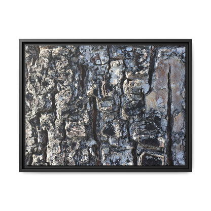 The Bark Chronicles - Unique Stretched Canvas Wall Art - Art By Earth