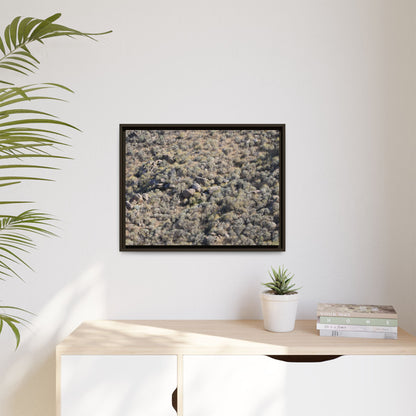 Arid Terrain Study - Unique Stretched Canvas Wall Art - Art By Earth