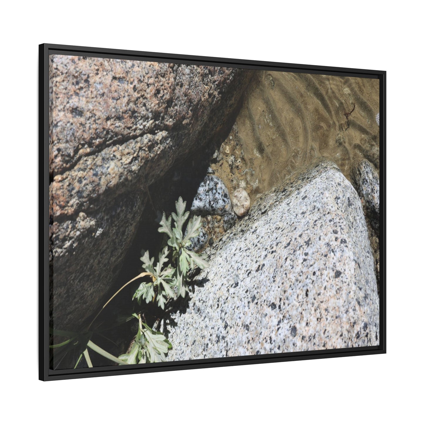 Resilience in Stone - Unique Stretched Canvas Wall Art - Art By Earth