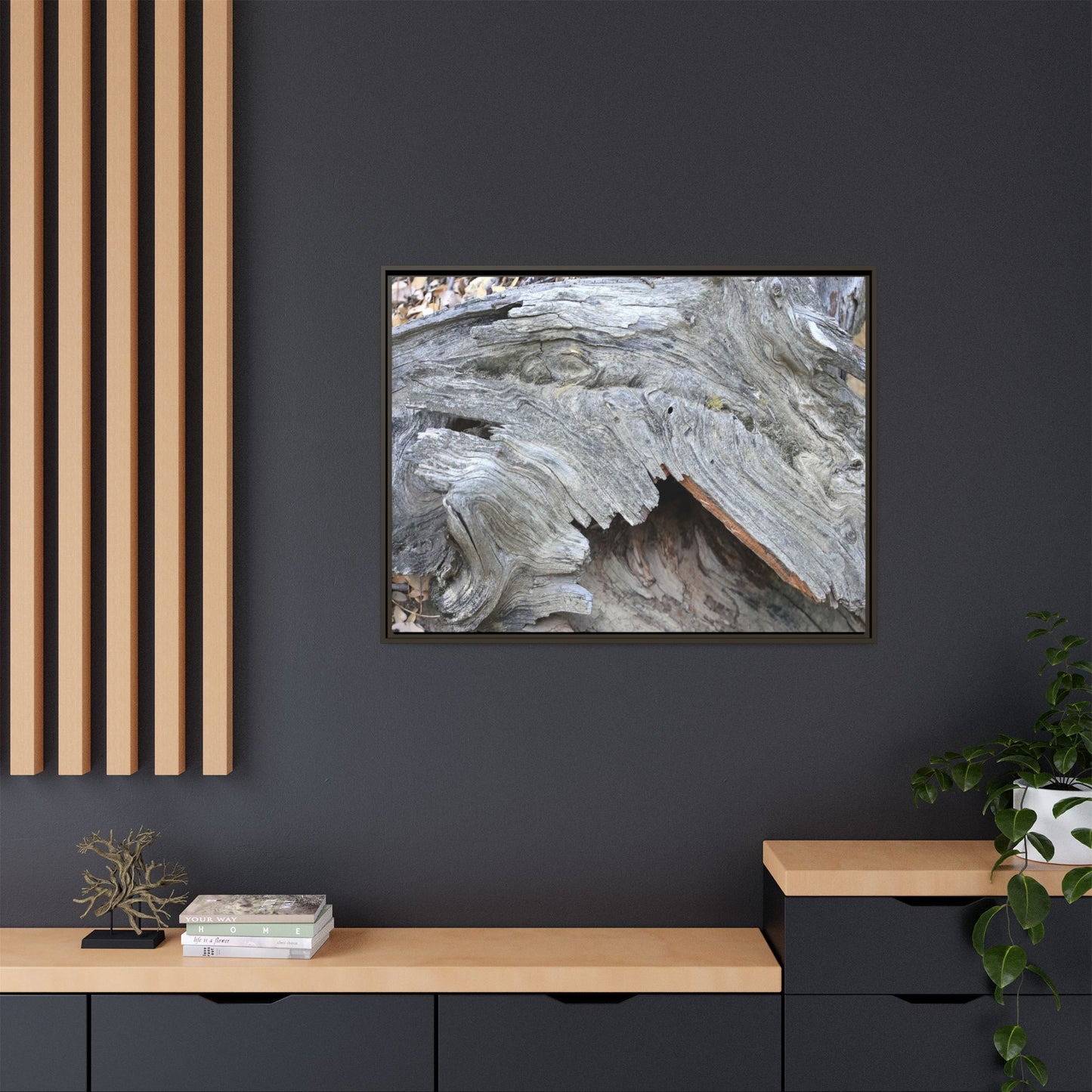 Driftwood Dreams - Unique Stretched Canvas Wall Art - Art By Earth