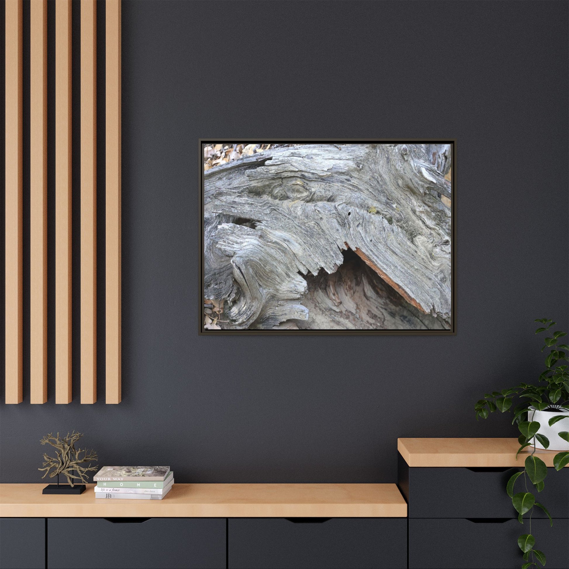 Driftwood Dreams - Unique Stretched Canvas Wall Art - Art By Earth