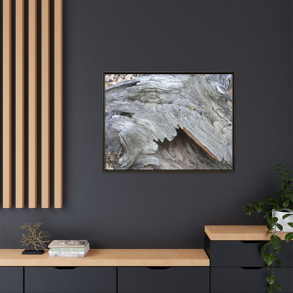 Driftwood Dreams - Unique Stretched Canvas Wall Art - Art By Earth