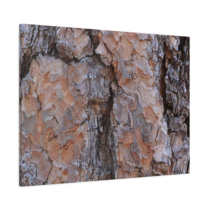 Arboreal Armor - Unique Frameless Canvas Wall Art - Art By Earth