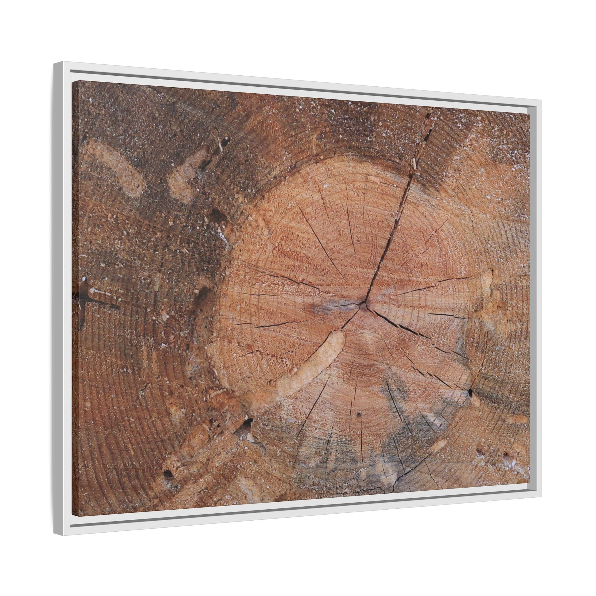 Concentric Memories - Unique Stretched Canvas Wall Art - Art By Earth