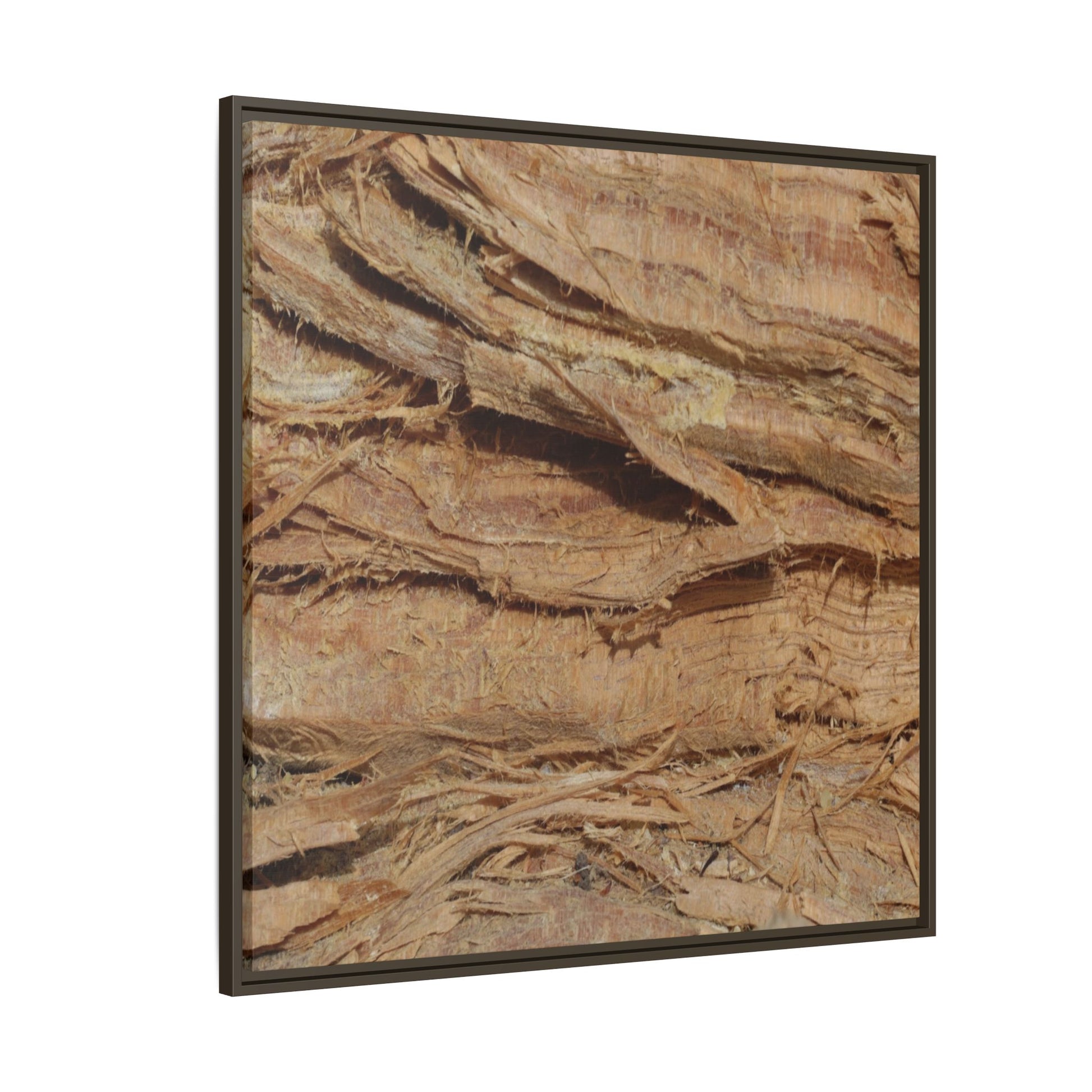Splintered Bark - Unique Stretched Canvas Wall Art - Art By Earth