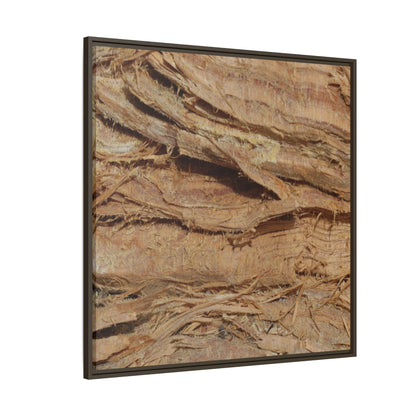 Splintered Bark - Unique Stretched Canvas Wall Art - Art By Earth