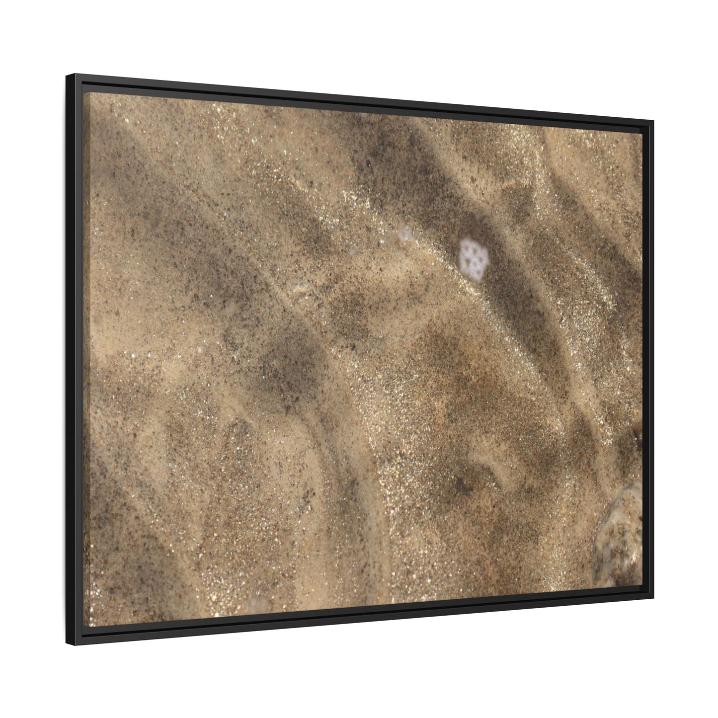 Underwater Sand Exploration - Unique Stretched Canvas Wall Art - Art By Earth