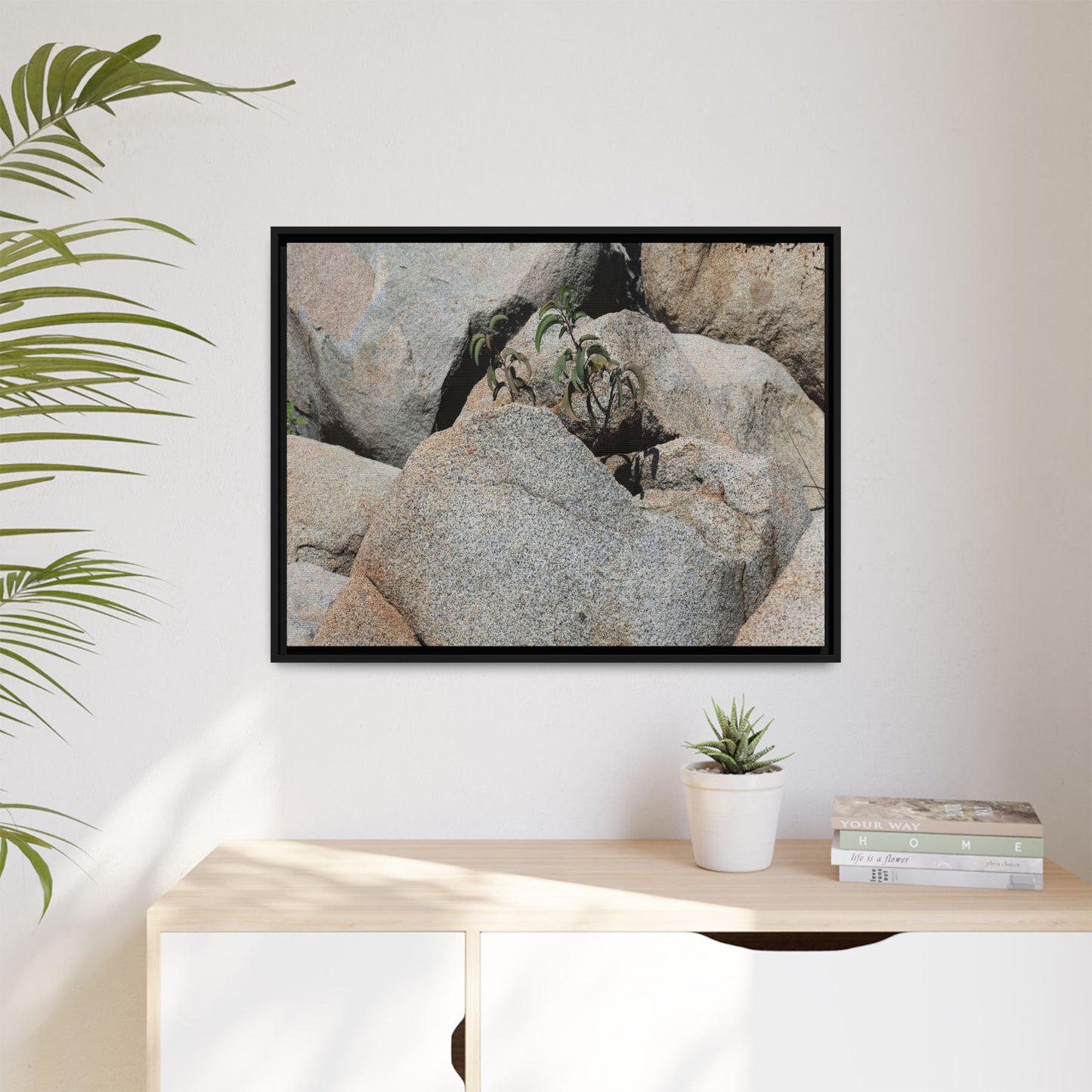 Desert Plant Thriving Among Rocks - Unique Stretched Canvas Wall Art