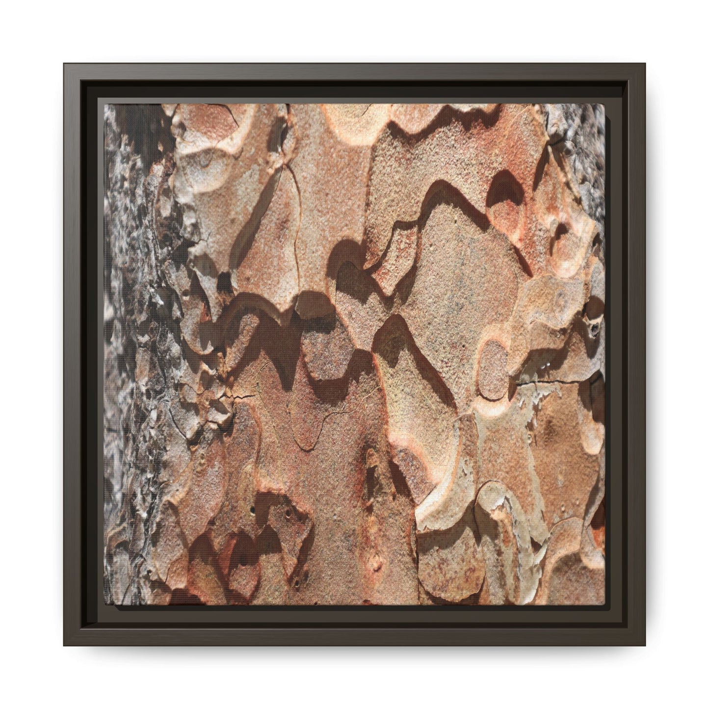 Rust and Stone - Unique Stretched Canvas Wall Art - Art By Earth