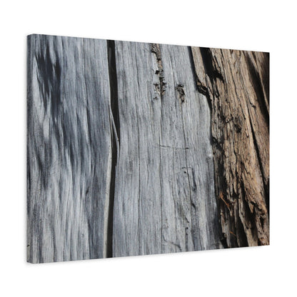 Fracture Lines - Unique Frameless Canvas Wall Art - Art By Earth