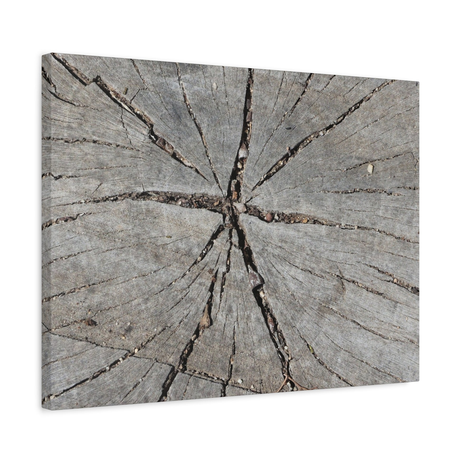 Cracked Chronicle - Unique Frameless Canvas Wall Art - Art By Earth