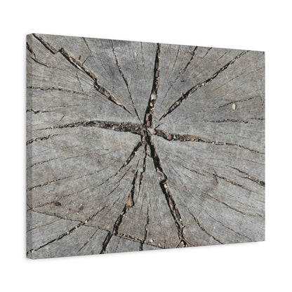 Cracked Chronicle - Unique Frameless Canvas Wall Art - Art By Earth