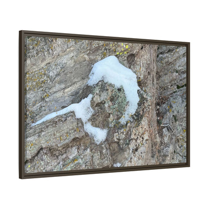 Lichen's Embrace - Unique Stretched Canvas Wall Art