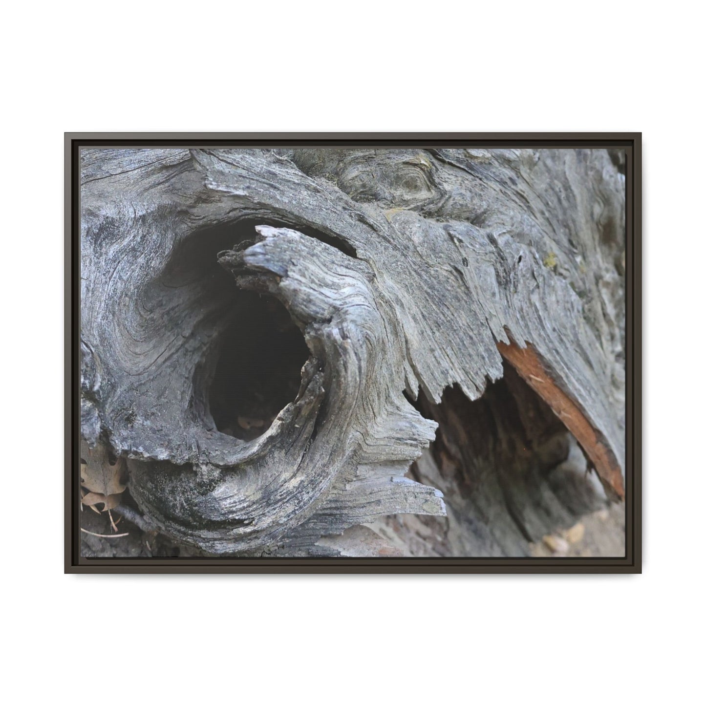 Bark's Labyrinth - Unique Stretched Canvas Wall Art - Art By Earth